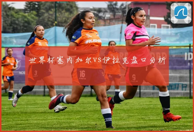 世界杯塞内加尔vs伊拉克盘口分析