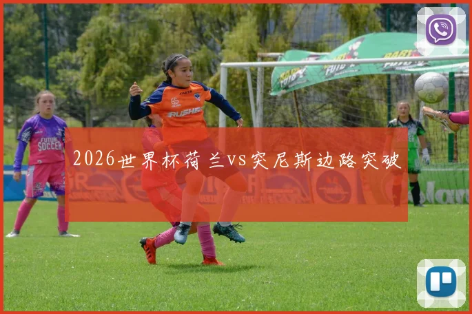 2026世界杯荷兰vs突尼斯边路突破