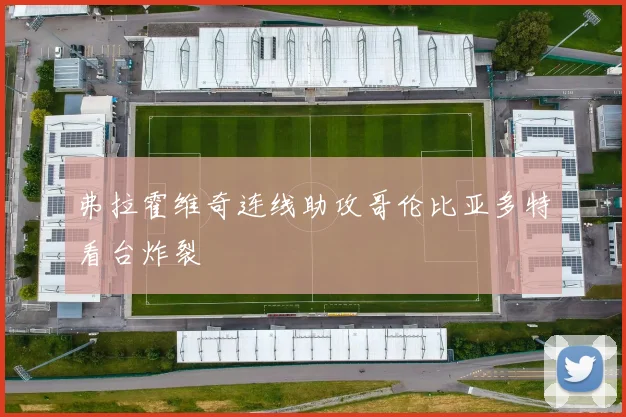 弗拉霍维奇连线助攻哥伦比亚多特看台炸裂